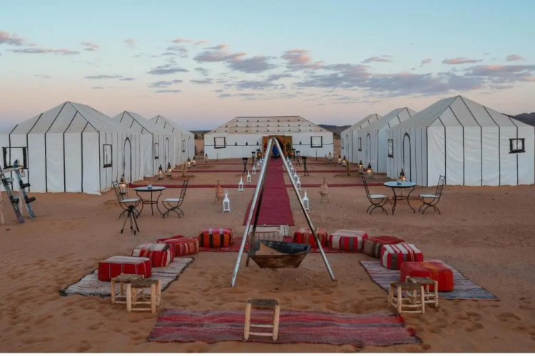 Moonlight Desert Camp