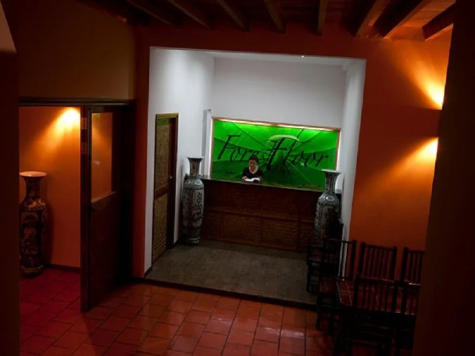 Forest Floor Lodge