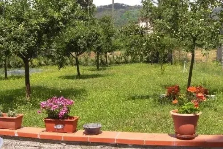 Albergo dei Tigli