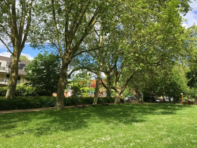 Cottage