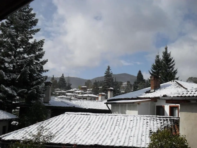 Standard Double room with garden view
