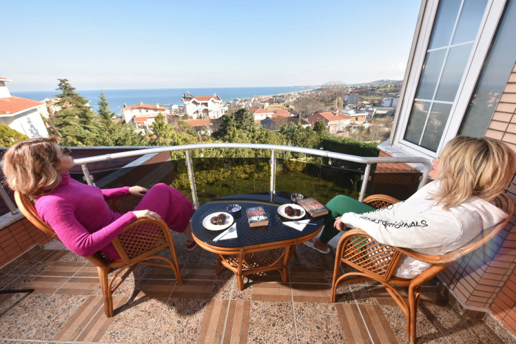 Treekos Suite