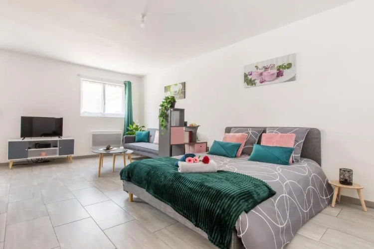 1 Bedroom Apartment
