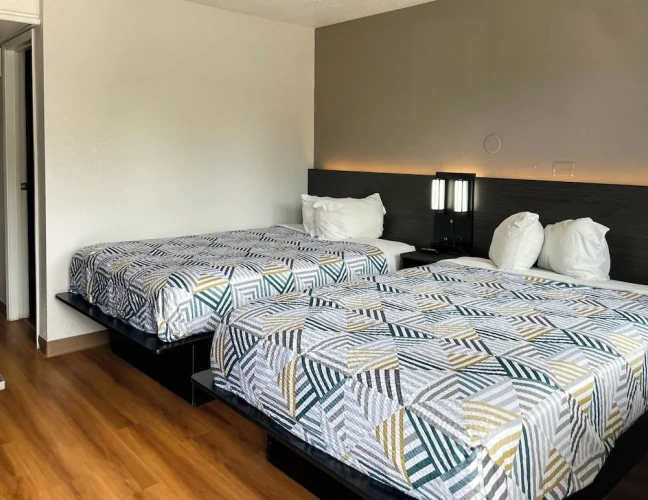 Standard Suite