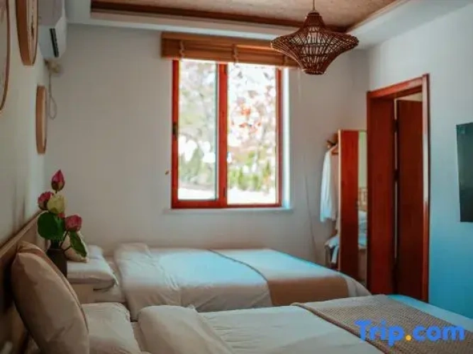 2 Bedrooms Comfort Family room