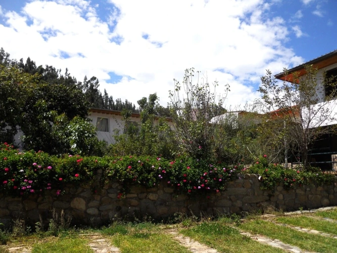 Standard Single room with garden view