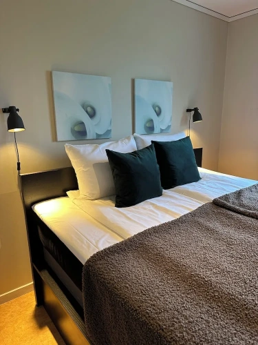 1 Bedroom Apartment