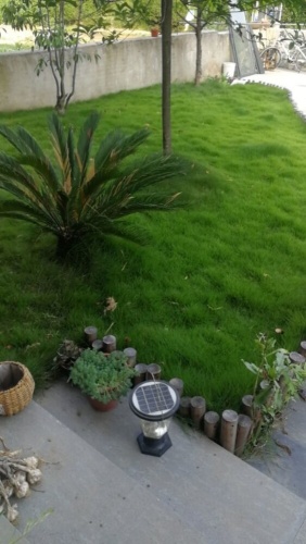 Outside