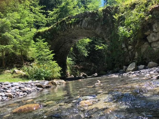 Le Moulin des Olirics
