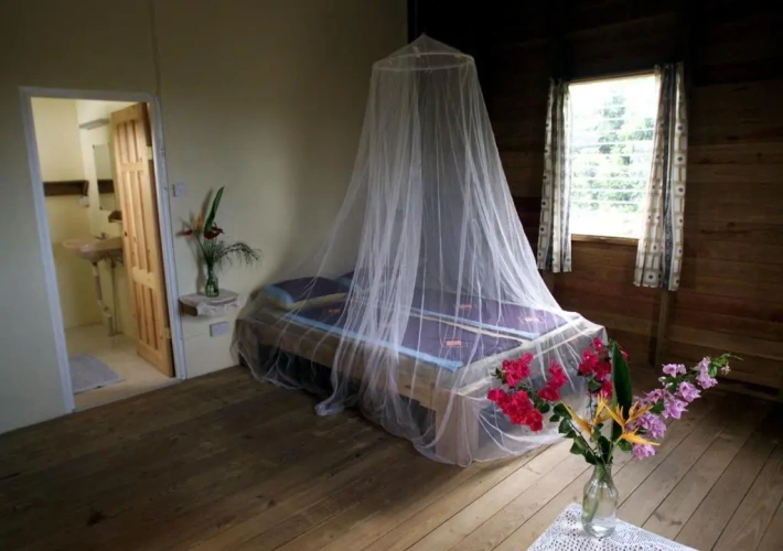 Standard Double room with sea view