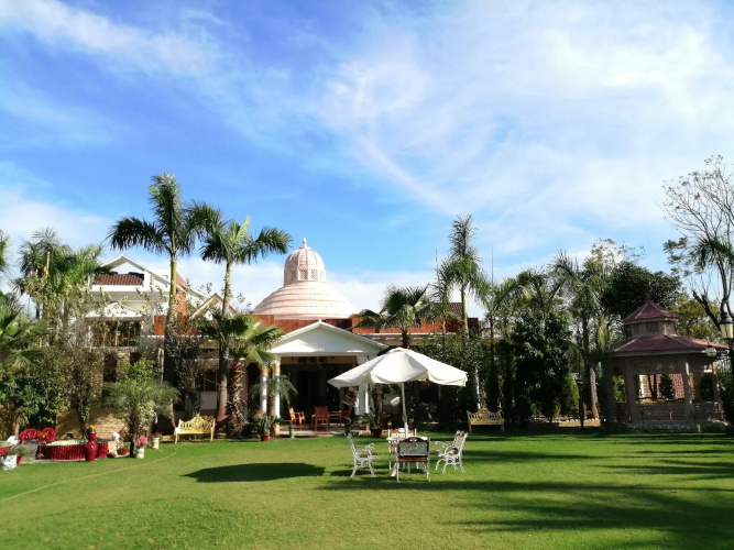 MANN The Palm Retreat