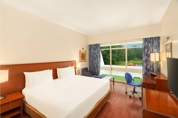 Deluxe Double room with balcony and with view