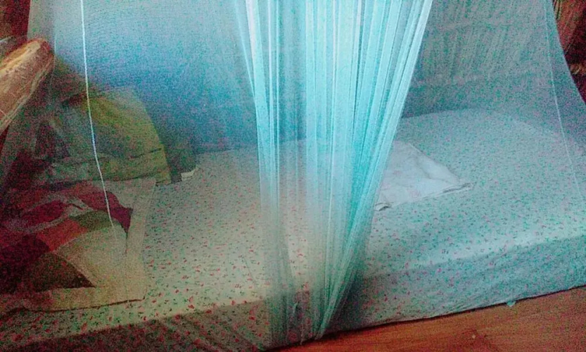 Hostal Tecali - Hostel