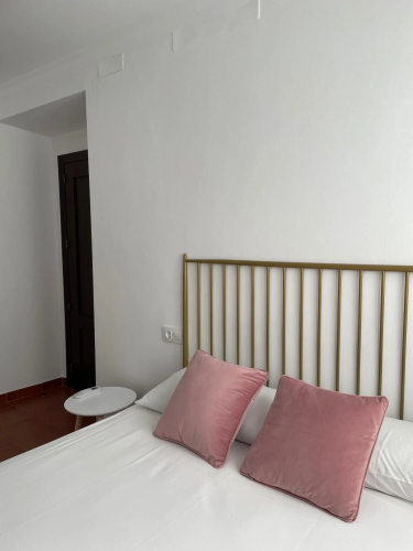 Apartamentos CEO - Alameda