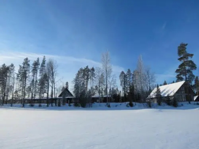 Honkiniemi