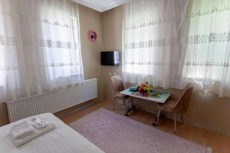 Standard Double room with mountain view