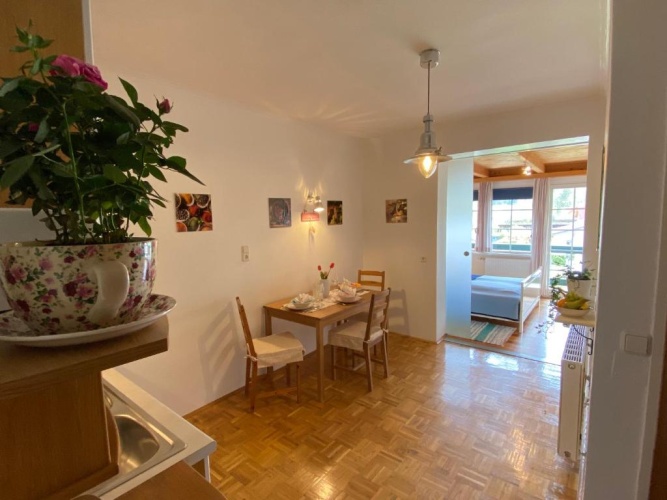 Apartment with garden view