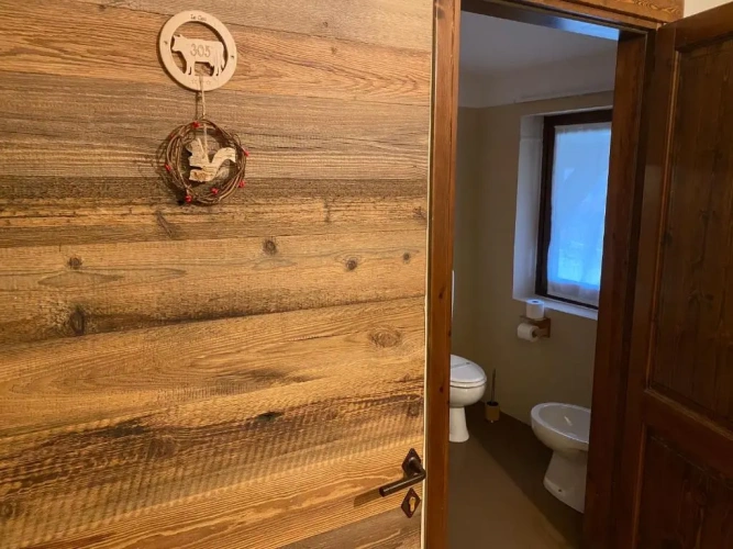 Standard Twin room with balcony and with mountain view