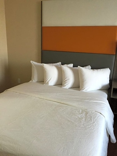 Superior Double Suite