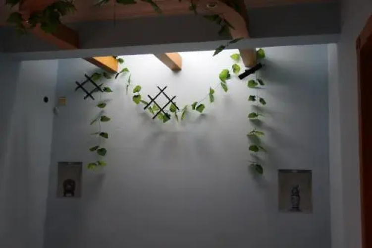 Guangzhou 520 Hostel
