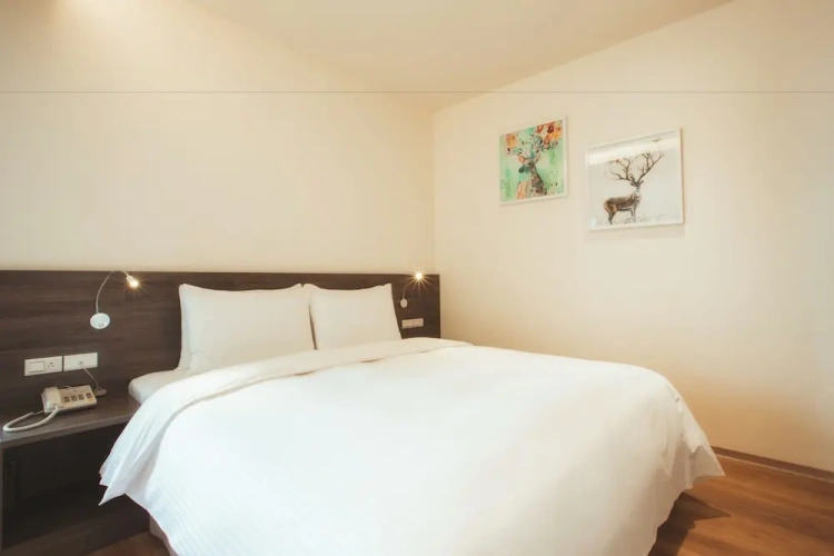 Standard Double room with city view