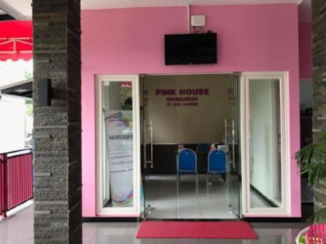 Pink House