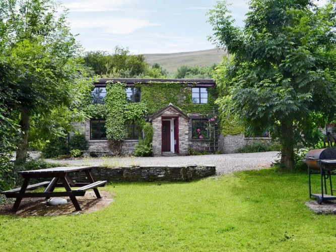 Heol Llygoden