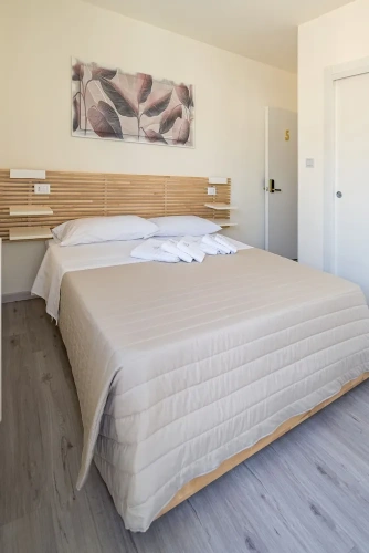 Standard Double room with city view