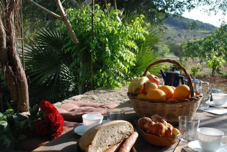Concava Camp