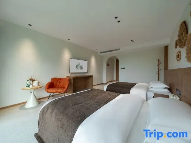 Standard Twin room with view