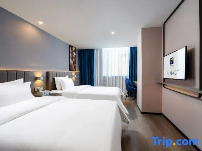 Standard Single Suite