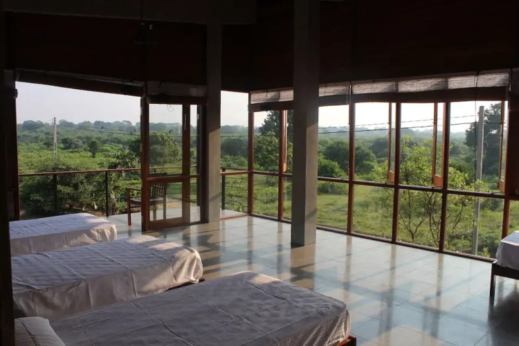 Tree Tops Yala