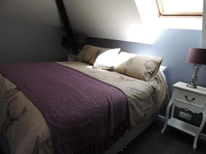 1 Bedroom Suite