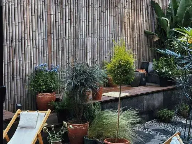 Dali Yimu Tea Su (Fengyangyu Branch)