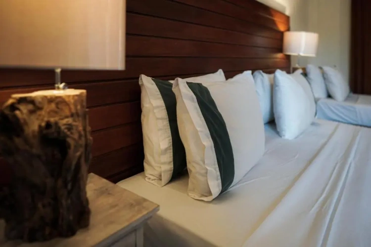 Standard Double room with balcony and with view