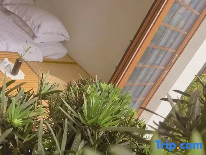 1 Bedroom Standard Double room