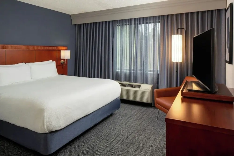 1 Bedroom Suite