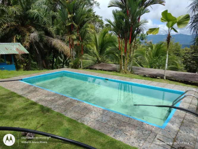 Mirador Osa