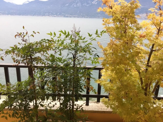 2 Bedrooms Apartment with balcony and with lake view