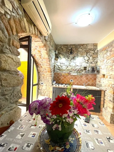 Comfort Apartment