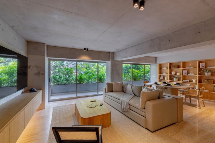 Deluxe Apartment