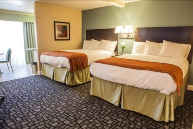Executive Quadruple Suite