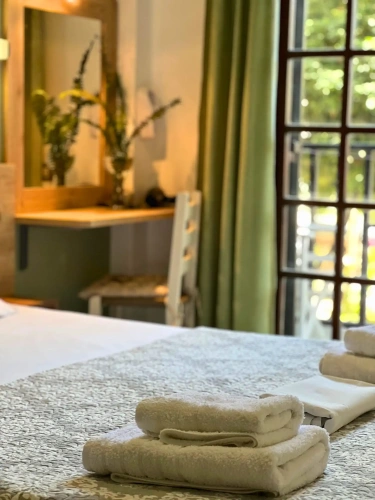 Standard Double room with garden view