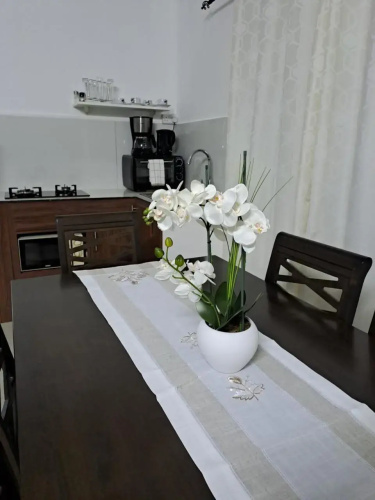 Studio Ametisse