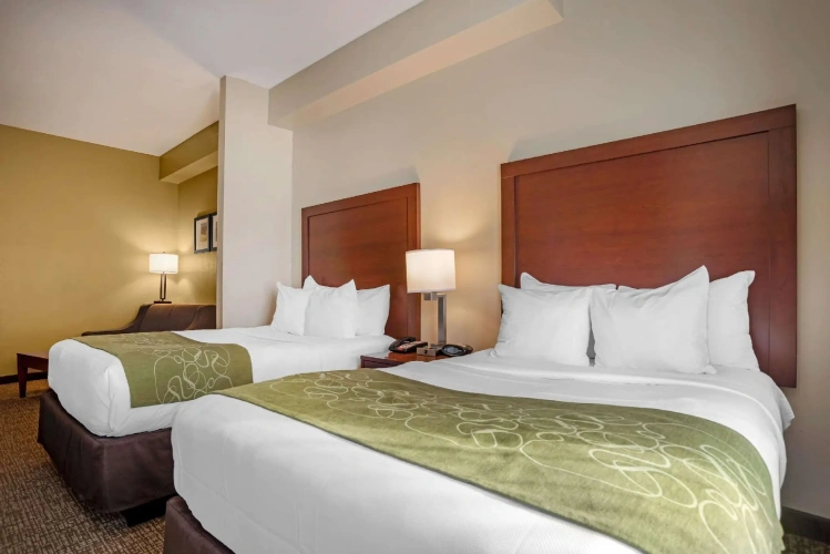 Quadruple Suite