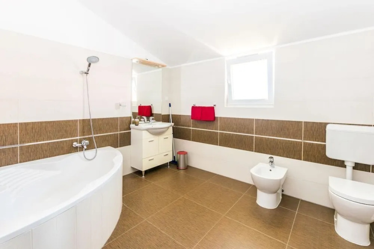 Apartment Janko N1