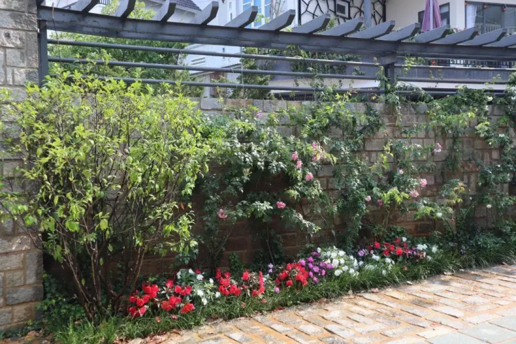 Hoang Loc Villa Hotel