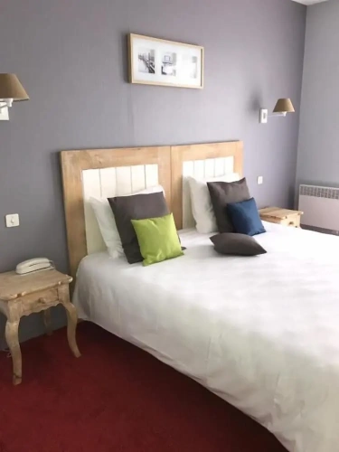Standard Double room with balcony and with garden view