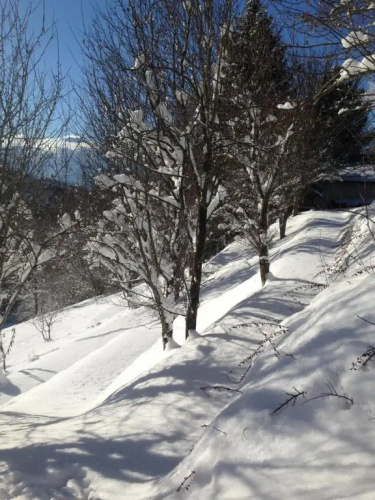 Chalet Eterlou