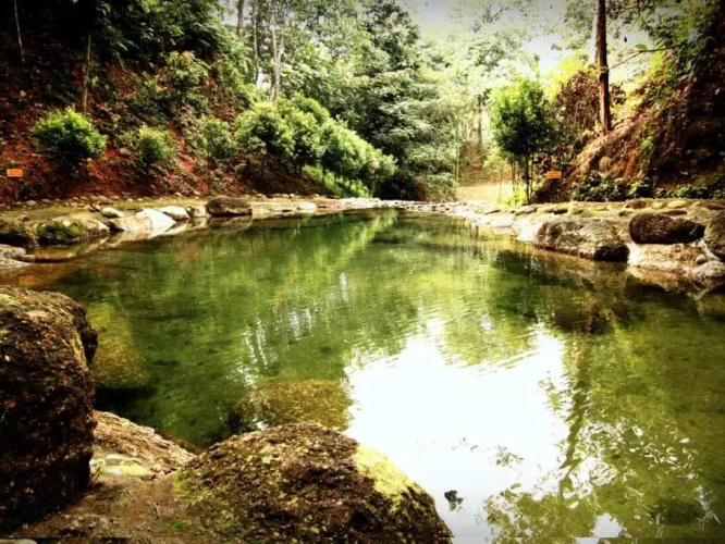 Refreshing Springs Resort